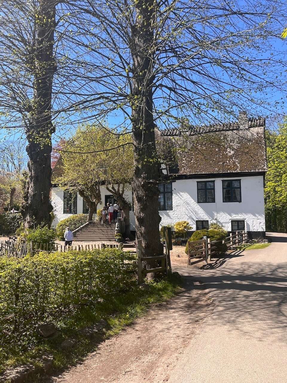 Lindauhof