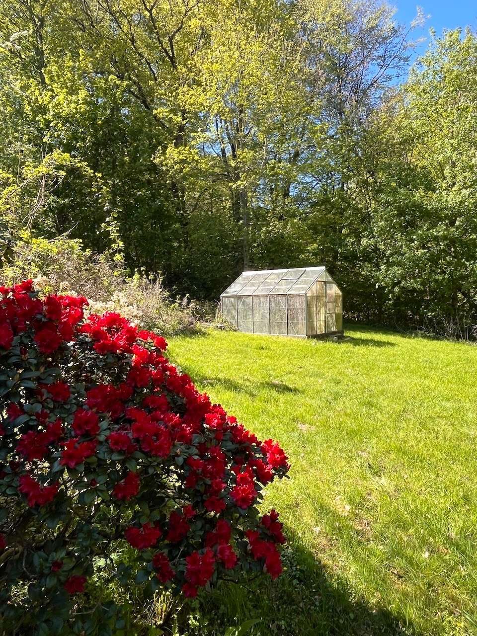 Garten Norden