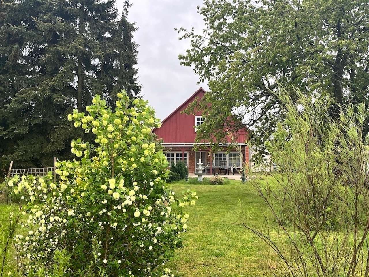 Blick vom Garten